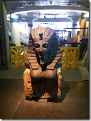 IMG_2855 IMG_2855