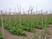 [P1100287%255B2%255D.jpg]