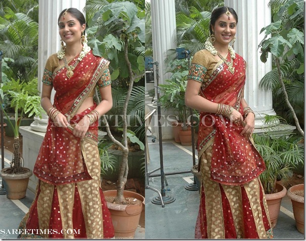 Bhanu_Sri_Designer_Half_Saree