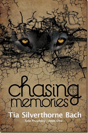 Chasing_Memories_Final_FOR WEB 5713