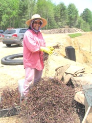 bog Kim getting vines to plant