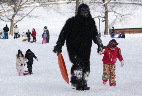 REFILE - WITH ADDITIONAL INFORMATION Michael May (L), wearing a gorilla suit, holds the hands of his daughter, Sienna, as they walk up a hill in New York's Central Park January 12, 2011. REUTERS/Jessica Rinaldi (UNITED STATES - Tags: ENVIRONMENT IMAGES OF THE DAY)