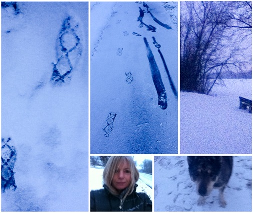 [winter-1LR%255B4%255D.jpg]