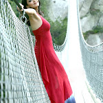 kajal-agarwal-photos-2.jpg kajal-agarwal-photos-2.jpg