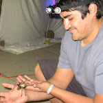 IMG_2645.JPG