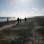 image16.jpg