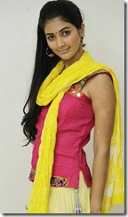 Actress Pooja Hegde in Mugamoodi New Stills