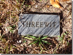 bThreewit cemetery at Ducktown 023
