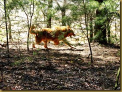 IMG_1923 IMG_1923