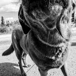 _MG_3315.jpg