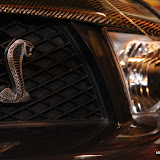 philippine transport show 2011 - cars (38).JPG