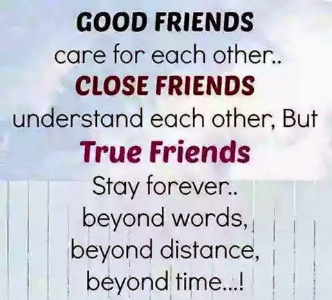 True friendship essay picture