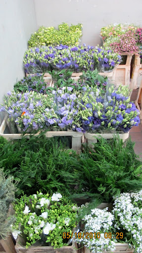 Lots of Lisianthus.