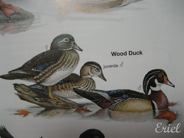 [gG%2520074%255B7%255D.jpg]