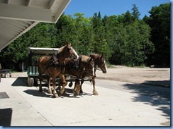 3338 Michigan Mackinac Island - Carriage Tours - time to switch to three-horse hitch carriage for second part of tour 3338 Michigan Mackinac Island - Carriage Tours - time to switch to three-horse hitch carriage for second part of tour