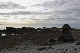 IMG_9884 IMG_9884