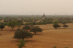 DSC01650.JPG