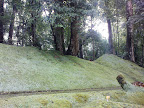 Events - 08900.JPG
