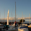 AIG_5910.JPG