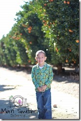 Talan web-1