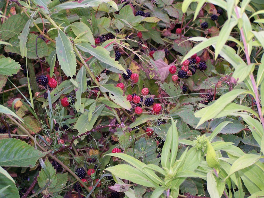 [100_2683%255B4%255D.jpg]