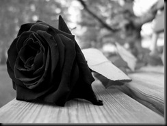 Rosa-Negra Rosa-Negra