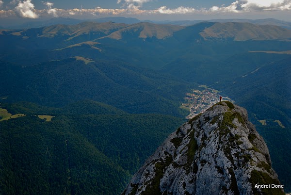 15.jpg 15.jpg