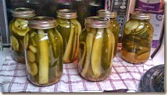 canning pickles