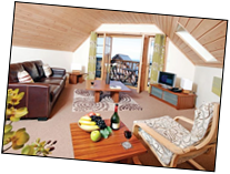 Comfortable and Modern Living Space