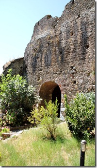 Kalamata_2474 Kalamata_2474