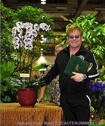 [Elton%2520John%2520Doritaenopsis%2520Marina%2520Bay%2520Sands%2520%2520ORCHID%2520%252020th%2520WORLD%2520ORCHID%2520CONFERENCE%2520SINGAPORE%255B16%255D.jpg]