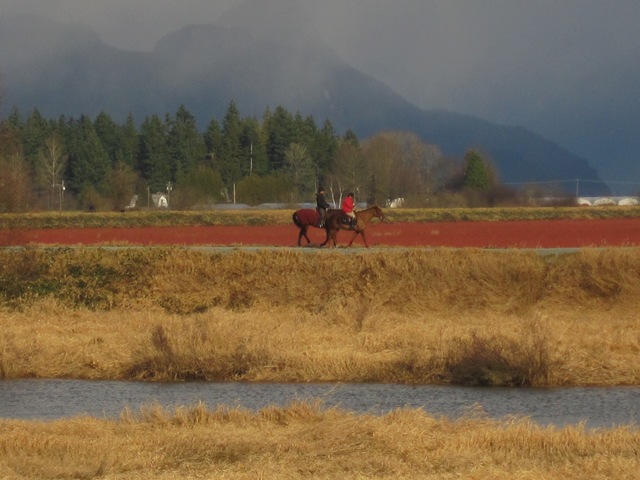 [IMG_6875%255B3%255D.jpg]