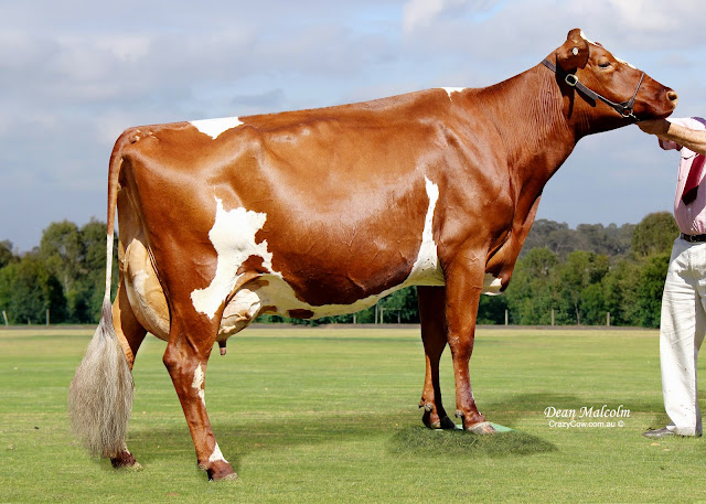 2013 G Little Princess 9 Ex 90 NevilleMueller_2_5x7.jpg