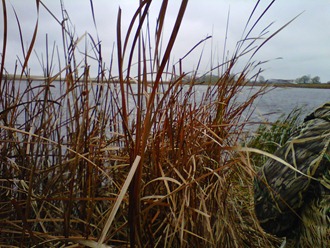 IMG00288-20111013-0925