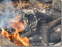 fire omen #2- faces fire omen #2- faces