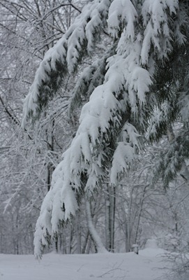 IMG_3088 IMG_3088