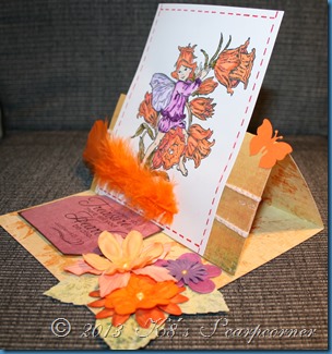 IMG_4822 IMG_4822