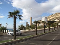 IMG_8393 IMG_8393