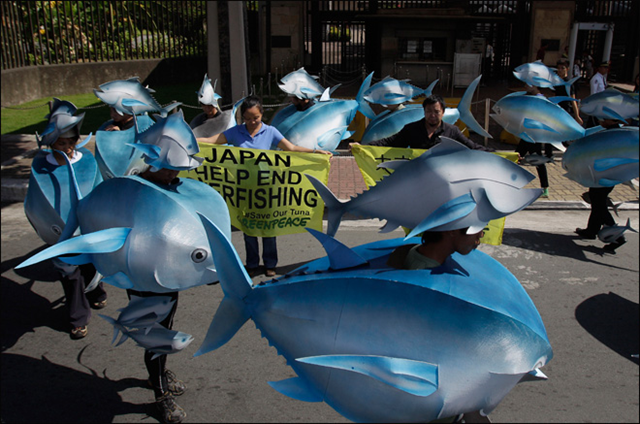 Environmental activists hold slogans as others depict a school of tuna during a rally outside the Japanese Embassy in suburban Pasay, south of Manila, Philippines, on 29 November 2012. Aaron Favila / AP Photo