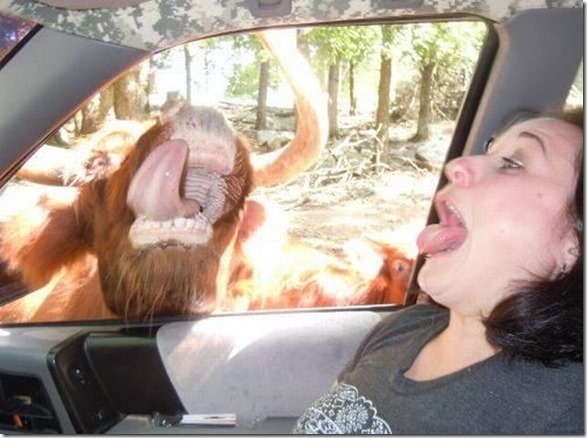 viral-picdump-pics-1