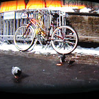 CIMG0457.JPG