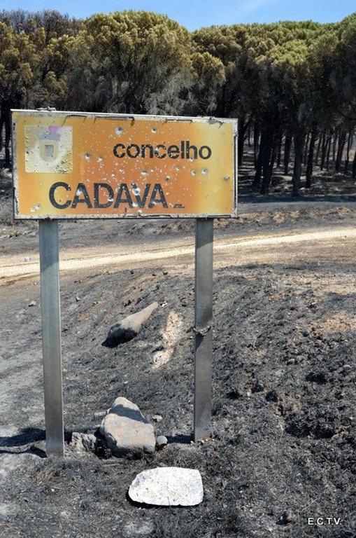 [285480_283160458463124_225936700_n%255B3%255D.jpg]