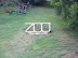 National Zoo in August