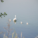24 mai 2009 nature