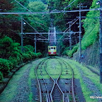 _IGP0122.JPG