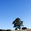 _MG_0363.JPG