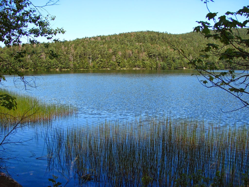 [Another-view-of-Lower-Hadley-Pond3.jpg]