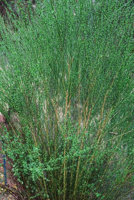 [DSC_0271%255B5%255D.jpg]