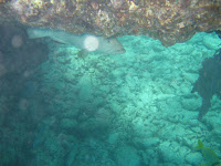 IMG_4543.jpg