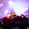 dial_navidad galeria_web4.jpg